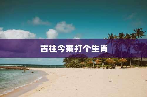 古往今来打个生肖