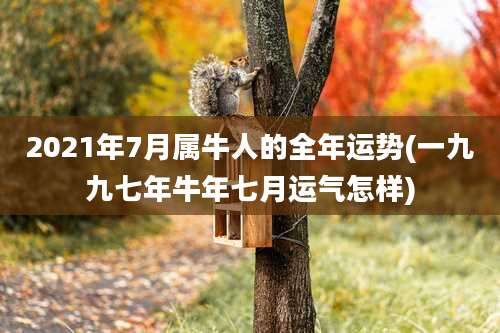 2021年7月属牛人的全年运势(一九九七年牛年七月运气怎样)