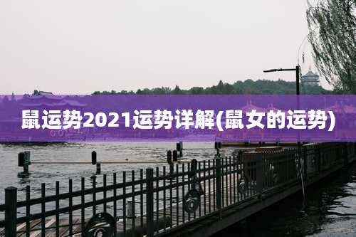 鼠运势2021运势详解(鼠女的运势)
