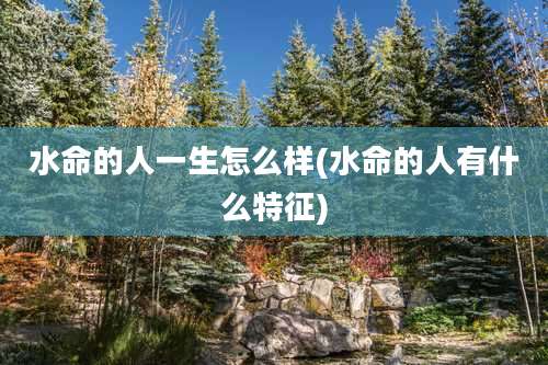 水命的人一生怎么样(水命的人有什么特征)