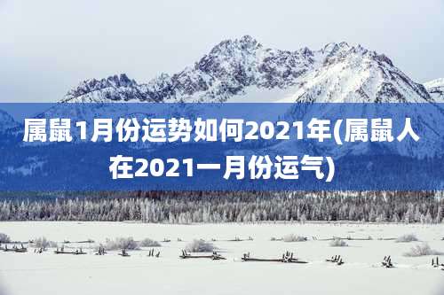 属鼠1月份运势如何2021年(属鼠人在2021一月份运气)