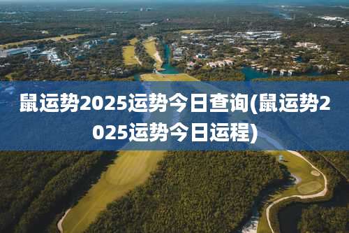 鼠运势2025运势今日查询(鼠运势2025运势今日运程)