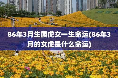 86年3月生属虎女一生命运(86年3月的女虎是什么命运)