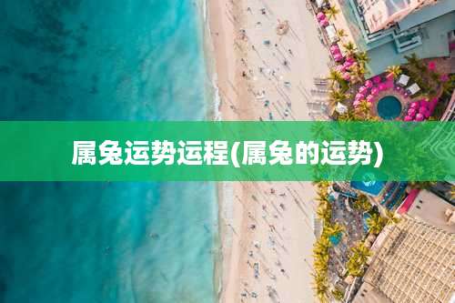 属兔运势运程(属兔的运势)