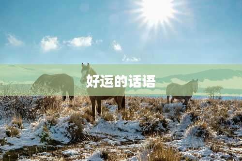 好运的话语