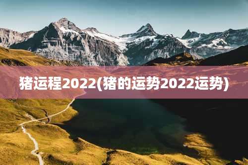 猪运程2022(猪的运势2022运势)