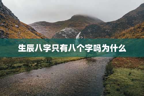 生辰八字只有八个字吗为什么