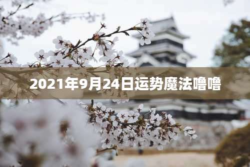 2021年9月24日运势魔法噜噜
