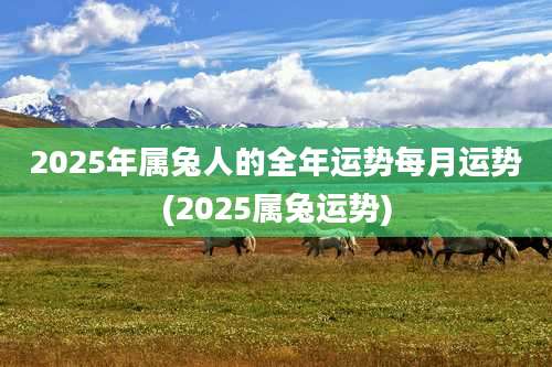 2025年属兔人的全年运势每月运势(2025属兔运势)