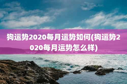 狗运势2020每月运势如何(狗运势2020每月运势怎么样)