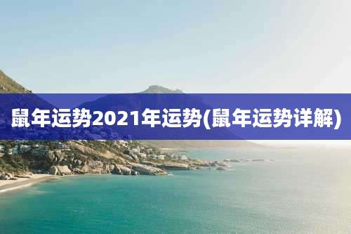 鼠年运势2021年运势(鼠年运势详解)