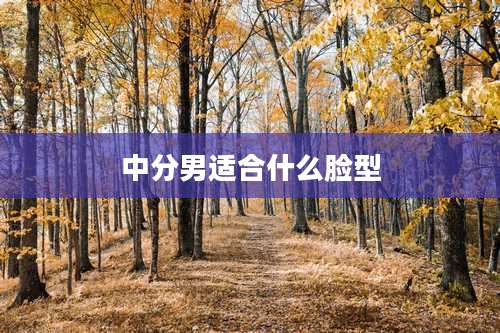 中分男适合什么脸型