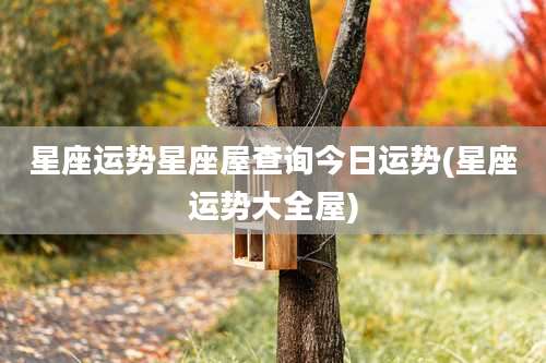 星座运势星座屋查询今日运势(星座运势大全屋)