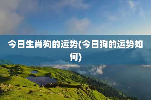 今日生肖狗的运势(今日狗的运势如何)