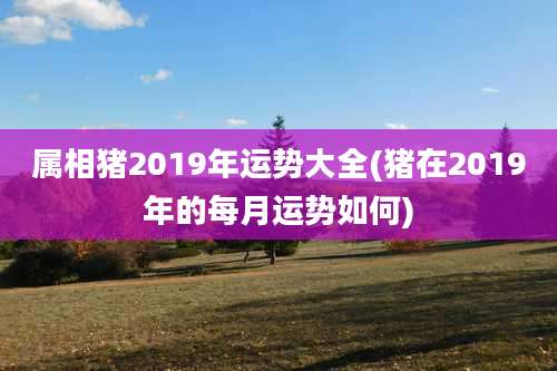 属相猪2019年运势大全(猪在2019年的每月运势如何)