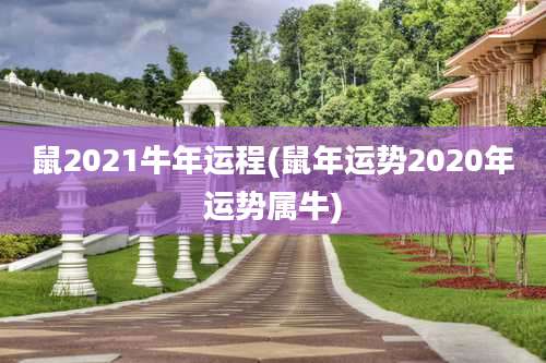 鼠2021牛年运程(鼠年运势2020年运势属牛)