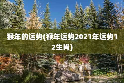 猴年的运势(猴年运势2021年运势12生肖)