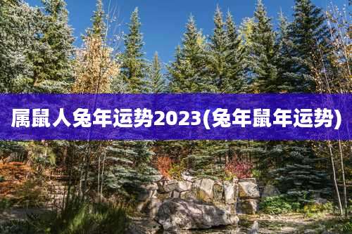 属鼠人兔年运势2023(兔年鼠年运势)