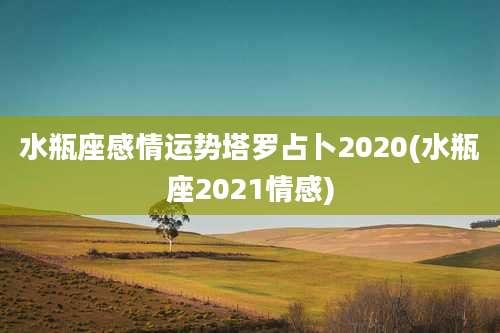 水瓶座感情运势塔罗占卜2020(水瓶座2021情感)