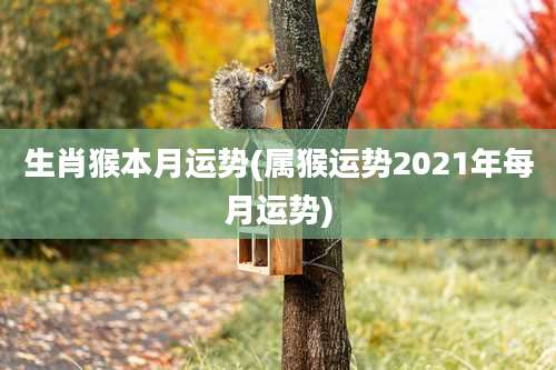 生肖猴本月运势(属猴运势2021年每月运势)