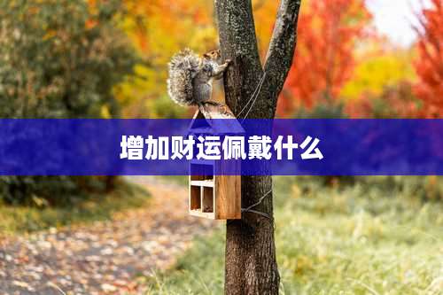 增加财运佩戴什么