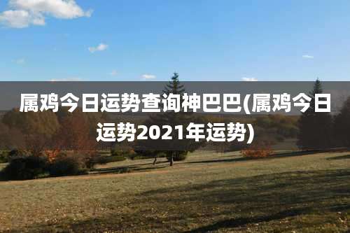 属鸡今日运势查询神巴巴(属鸡今日运势2021年运势)