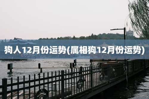 狗人12月份运势(属相狗12月份运势)