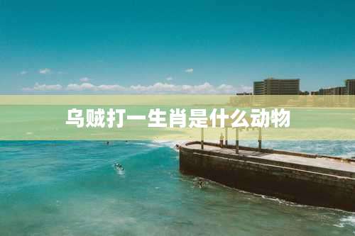 乌贼打一生肖是什么动物