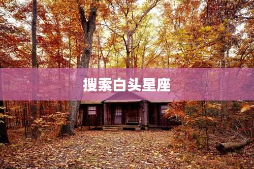 搜索白头星座