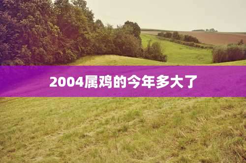 2004属鸡的今年多大了