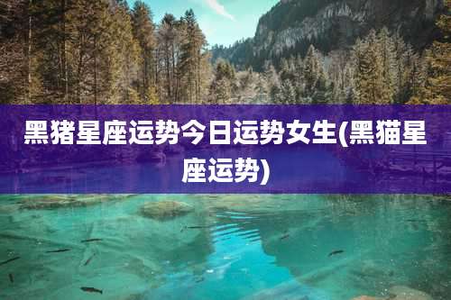 黑猪星座运势今日运势女生(黑猫星座运势)