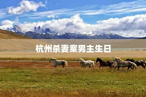 杭州杀妻案男主生日