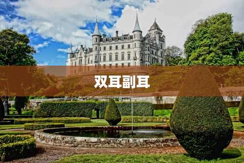 双耳副耳