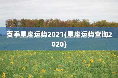 夏季星座运势2021(星座运势查询2020)