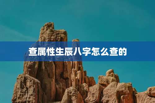 查属性生辰八字怎么查的