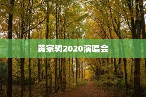 黄家驹2020演唱会
