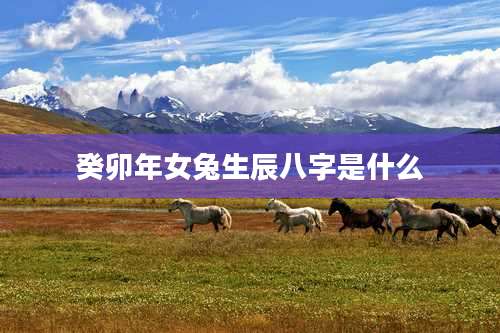 癸卯年女兔生辰八字是什么