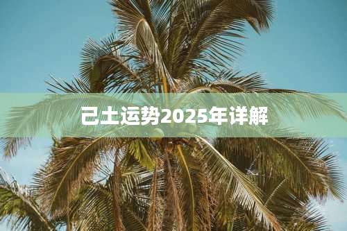 己土运势2025年详解