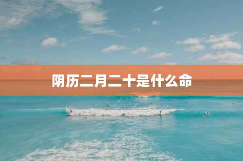阴历二月二十是什么命