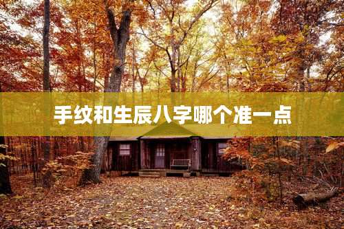 手纹和生辰八字哪个准一点