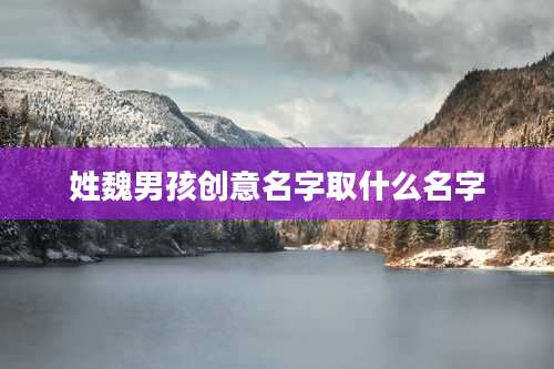 姓魏男孩创意名字取什么名字