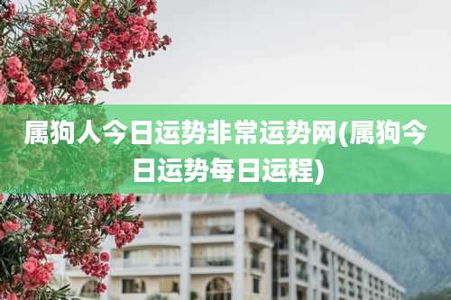 属狗人今日运势非常运势网(属狗今日运势每日运程)