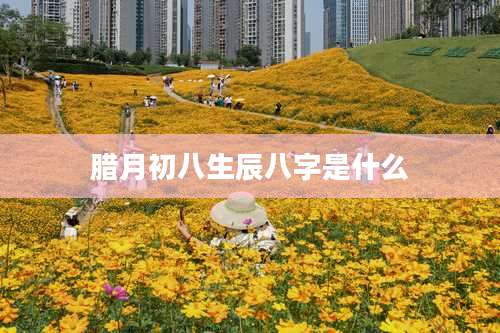 腊月初八生辰八字是什么