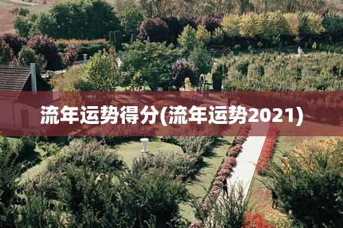 流年运势得分(流年运势2021)