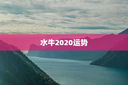 水牛2020运势