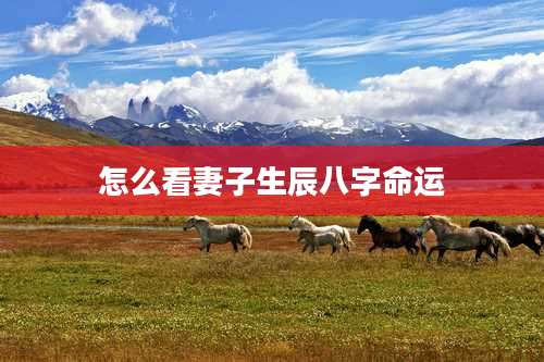 怎么看妻子生辰八字命运