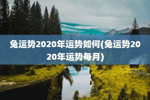 兔运势2020年运势如何(兔运势2020年运势每月)