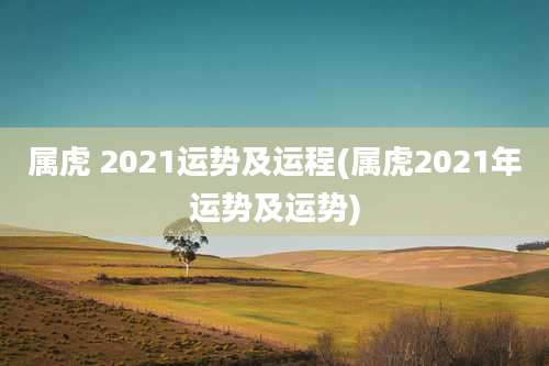 属虎 2021运势及运程(属虎2021年运势及运势)