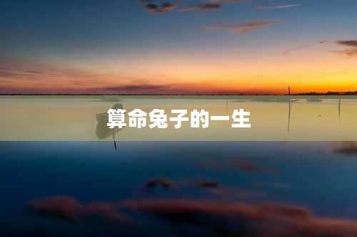 算命兔子的一生