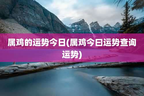 属鸡的运势今日(属鸡今曰运势查询运势)
